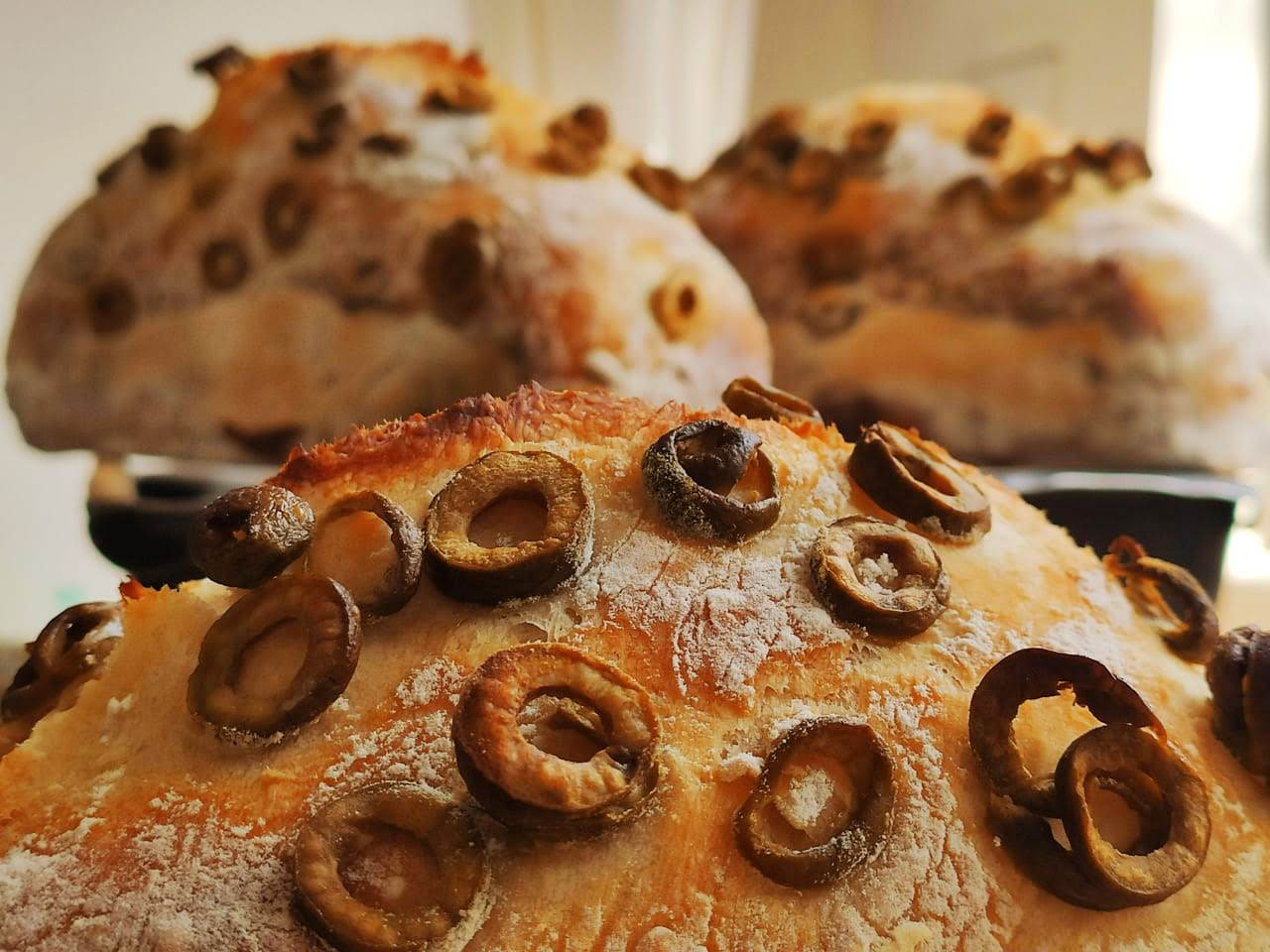 Pão artesanal com azeitonas recém-saído do forno
