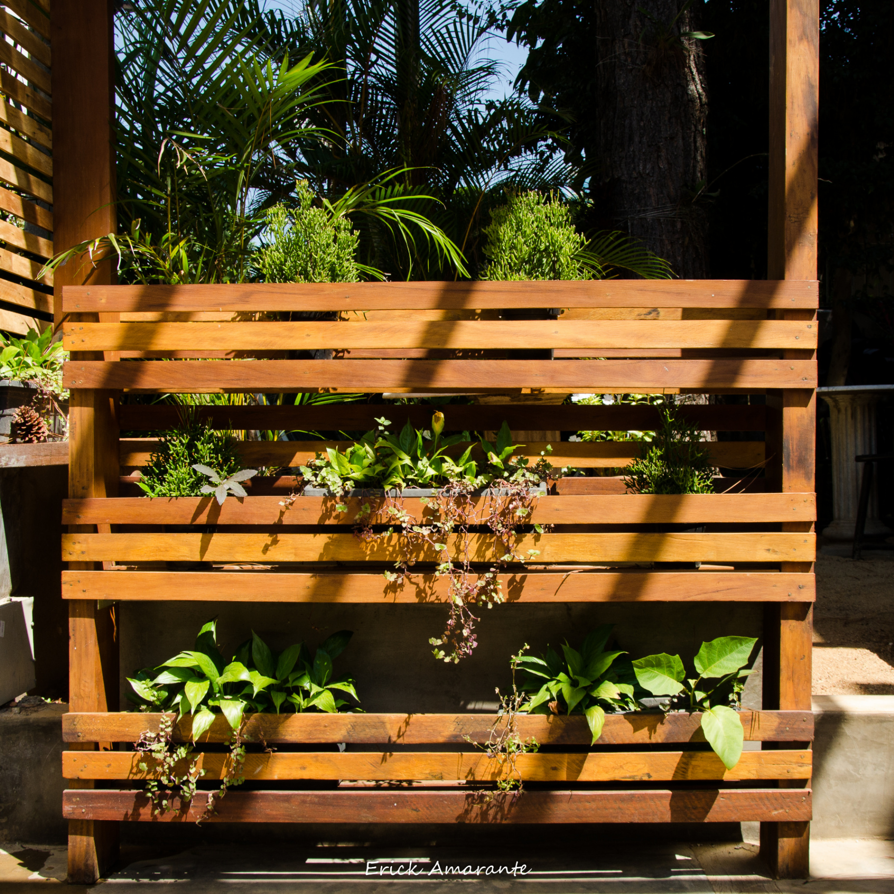 Jardim vertical com plantas tropicais